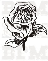 /album/kvety-stromy/kvety-9-jpg/